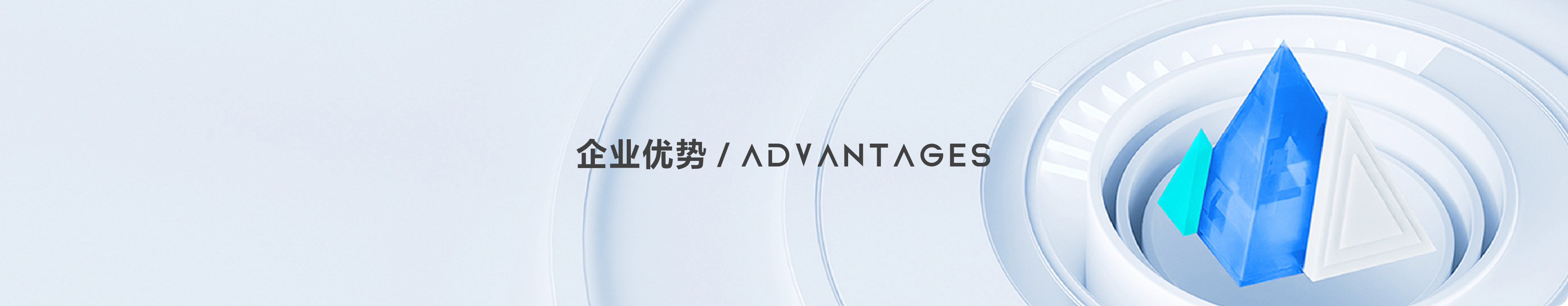 企业优势